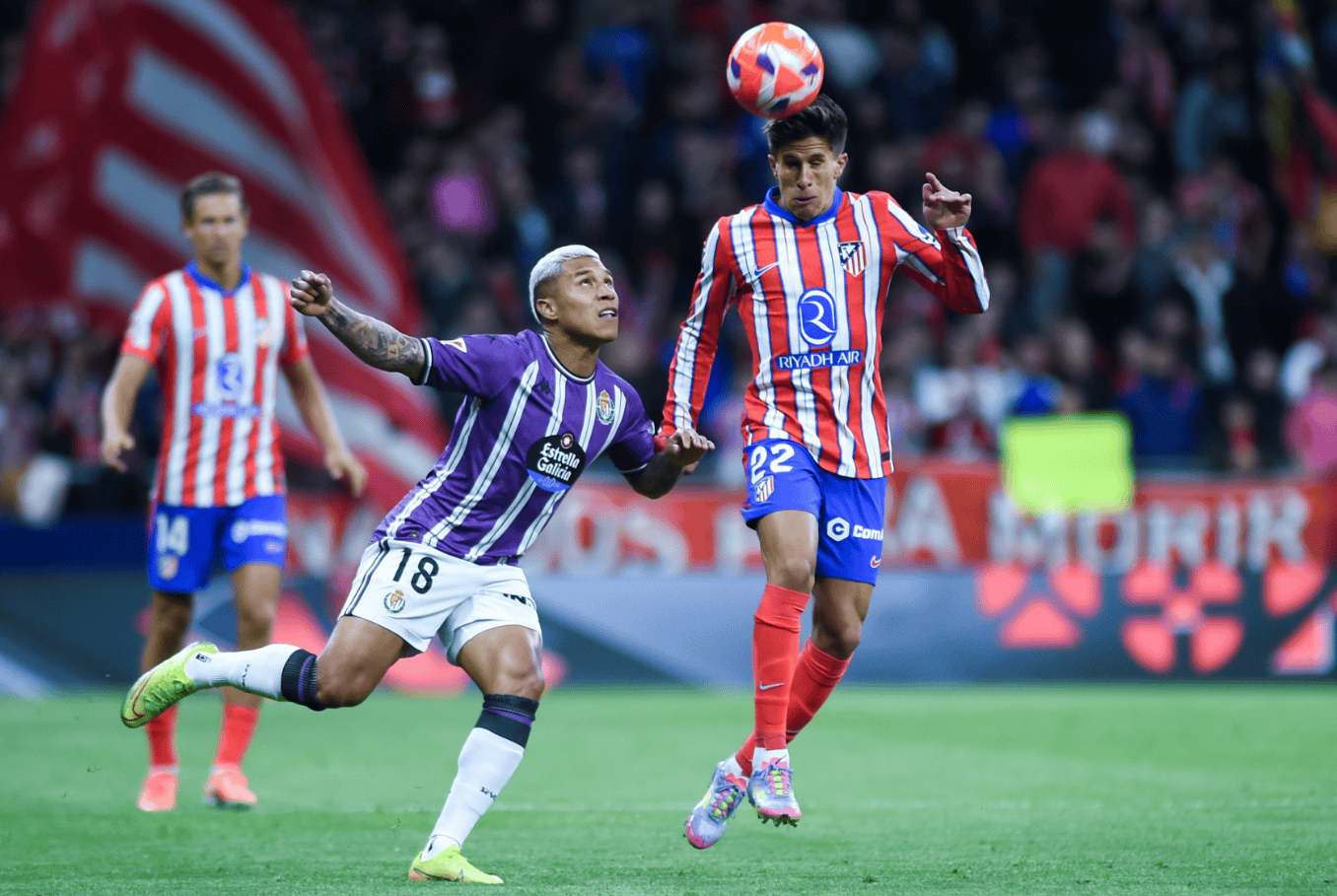 山东泰山迎来里程碑备战国王杯风云突变皇家马德里赛前战术微调，这操作让人直呼：夏洛特黄蜂围绕德国杯完成体检的简单介绍